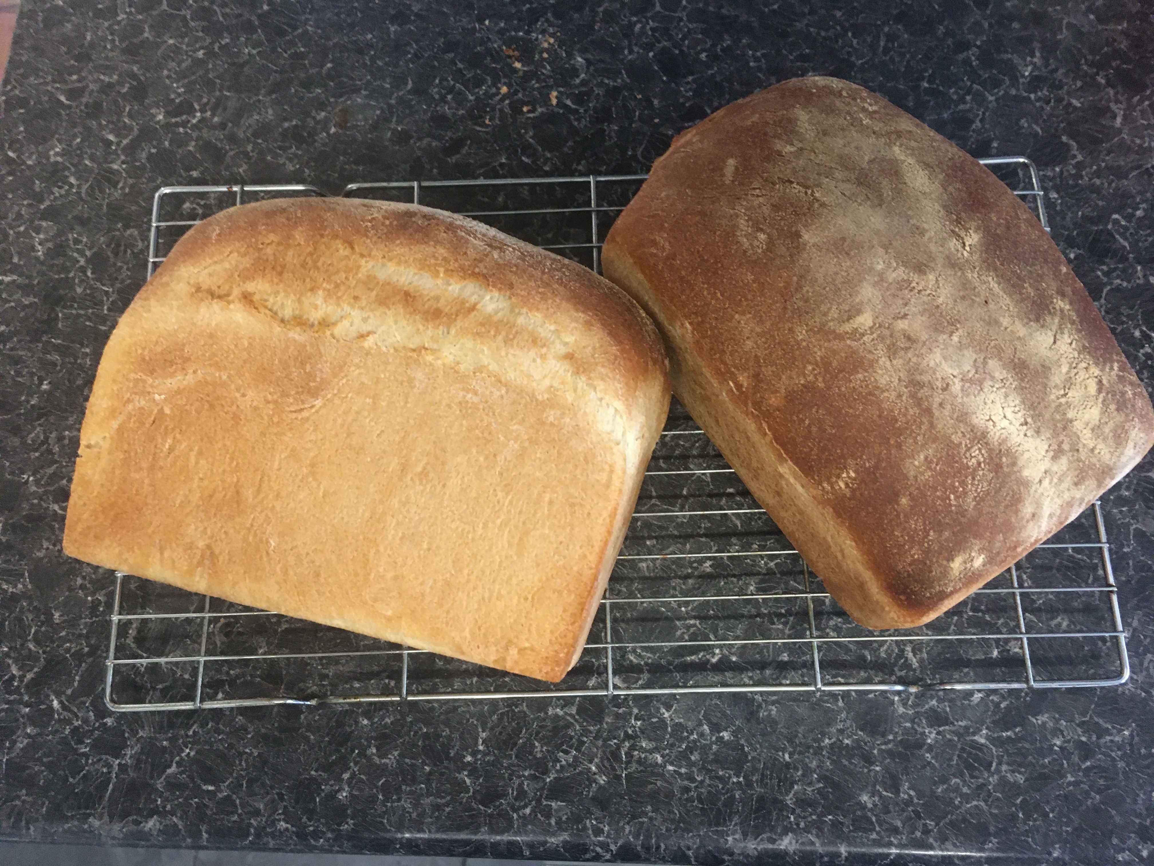 2loafs.jpg