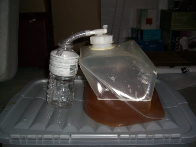 07.jpg