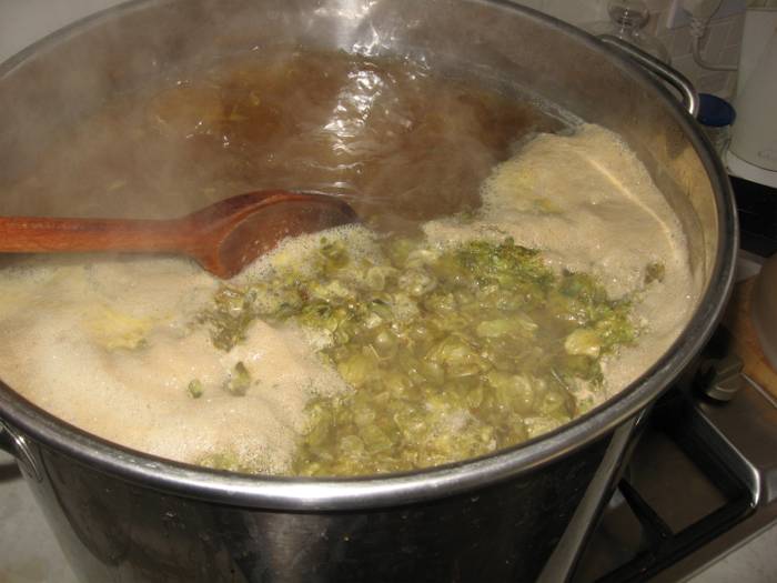 brewing boil with hops