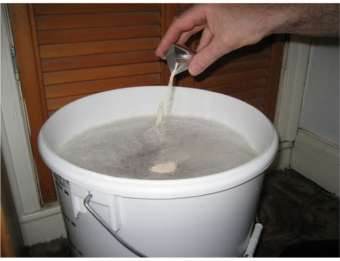 adding yeast to the beer wort